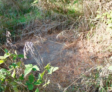 9780 E 500 N, Grovertown, IN 46531 - photo 7