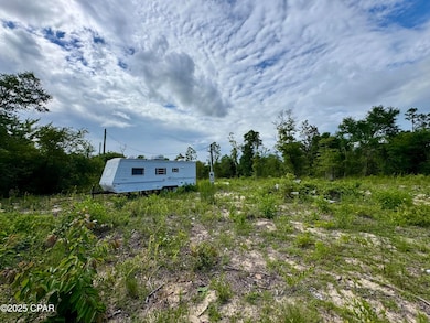 0 Baker Ave unit 774505, Alford, FL 32420 - photo 2