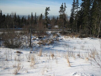 L14 B6 Manorwood Pointe Cir, Anchorage, AK 99516 - photo 6