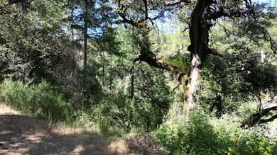 12226 Pine Cone Cir, Grass Valley, CA 95945 - photo 3