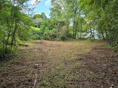 LT 16 Omega Way, Hiawassee, GA 30546 - photo 7