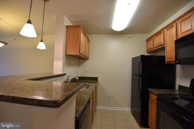 The Four Winds at Oakton unit 4-E11, Oakton, VA 22124 - photo 7