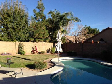 back yard pool