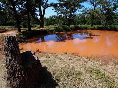 Land. Fish in your own pond