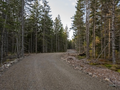 Acadia Pines Road