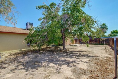 Large backyard