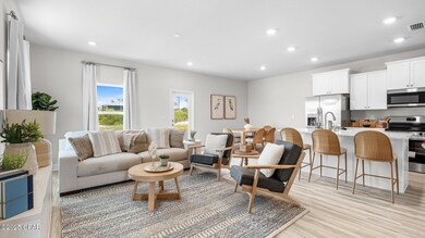 297 Sea Tern Ln, Port St. Joe, FL 32456 - photo 6