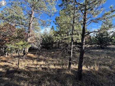 Lot 35 Stephens Dr, Westcliffe, CO 81252 - photo 6