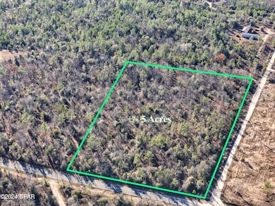 000 NW Apachee Rd, Fountain, FL 32438 - photo 2