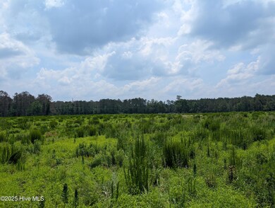 PXL_20250624_162558036
