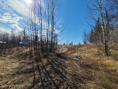 20210419_164125_resize_89