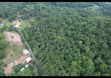 1655 Lester Whitt Rd, Rutledge, TN 37861 - photo 6