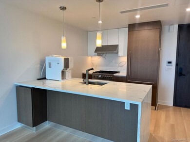 The Farrington unit 9-B, Flushing, NY 11354 - photo 5