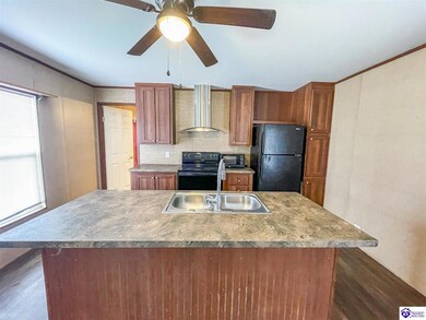 5610 Constantine Rd, Cecilia, KY 42724 - photo 4