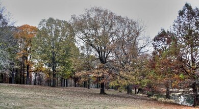 IMG_0330_Enhancer