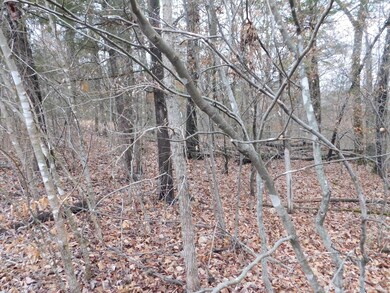 DSCN0031