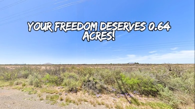 Deming unit NM USA, Deming, NM 88030 - photo 3