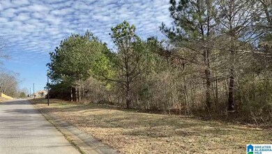 Lot 24 County Road 70, Thorsby, AL 35171 - photo 2