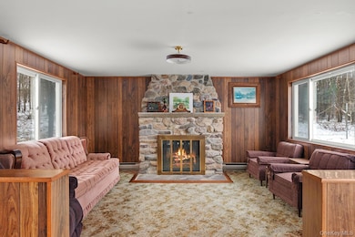 1847 Tupper Hill Rd, Franklin, NY 13775 - photo 3