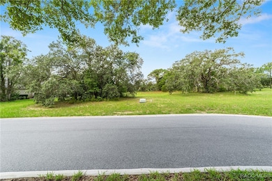 2598 N Troon Path, Black Diamond, FL 34461 - photo 4