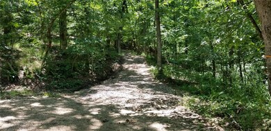 0 Valley View, Eureka Springs, AR 72632 - photo 2