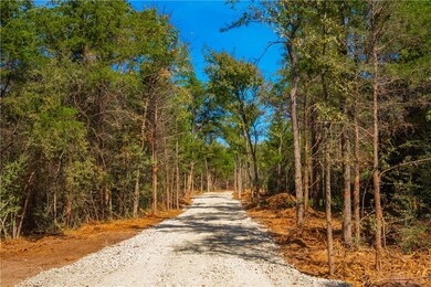 12428 Red Hill Rd, Hearne, TX 77859 - photo 6