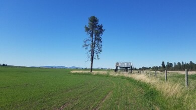 western boundary