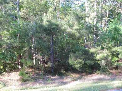 Lot 7 River Plantation Rd, Crawfordville, FL 32327 - photo 6