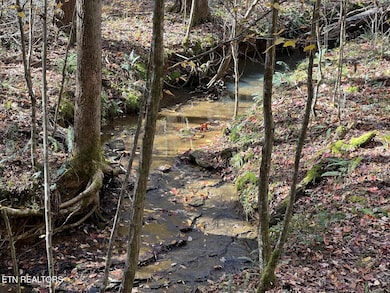 523 Honey Creek Loop Rd, Allardt, TN 38504 - photo 2