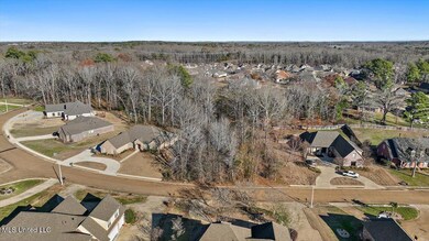 05-Lot 30 Dunlieth