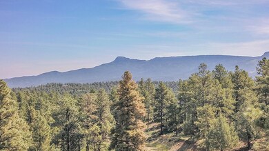 DJI_0243a