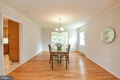 8409 Conover Place, Alexandria, VA 22308 - photo 3