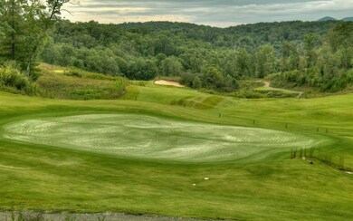 LT188 Old Toccoa Farm, Mineral Bluff, GA 30559 - photo 3