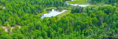 View of drone / aerial view