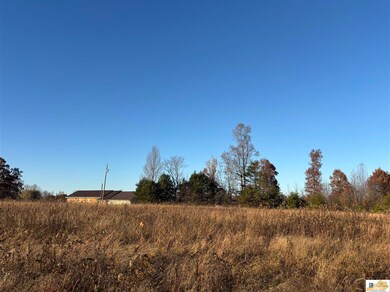 100 Tudy Ridge Rd, Science Hill, KY 42553 - photo 6