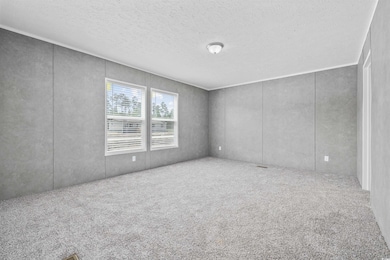 Carpeted spare room with a textured ceiling