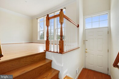 3915 Chelsea Park Ln unit 5, Burtonsville, MD 20866 - photo 3