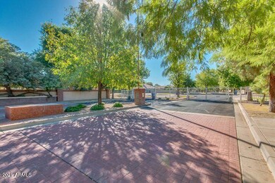 Welcome to SUNNY MESA!