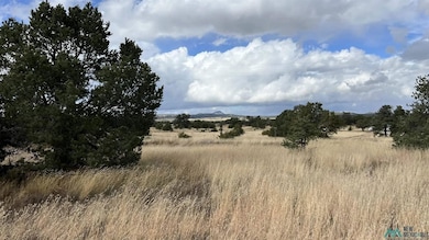 0 Mountain View unit 24140967, Pie Town, NM 87827 - photo 3