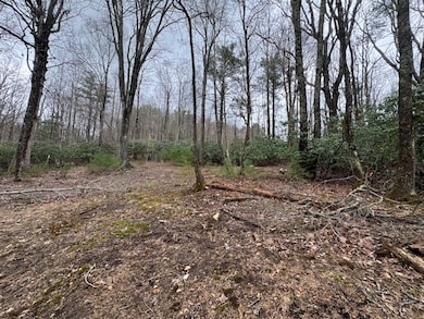 TBD Crooked Creek Ln, Fancy Gap, VA 24328 - photo 7