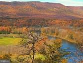 461 Thunderbird Rd, Front Royal, VA 22630 - photo 2