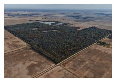 4297 U S 62, Corning, AR 72422 - photo 7