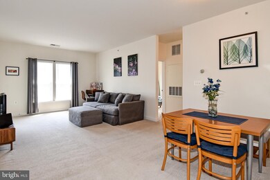 22655 Blue Elder Terrace unit 302, Ashburn, VA 20148 - photo 6