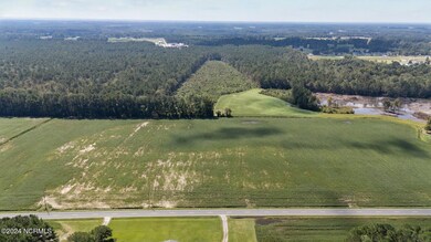 2835 Pikeville-Princeton Rd, Pikeville, NC 27863 - photo 6