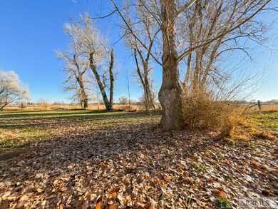 Mature trees surrounding the home