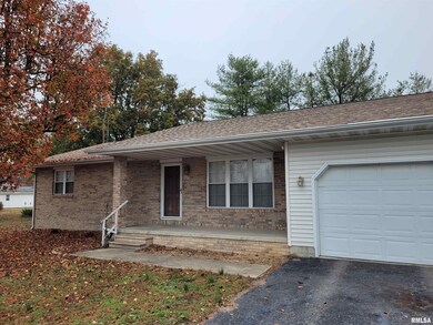 469 Main St, Radom, IL 62876 - photo 2