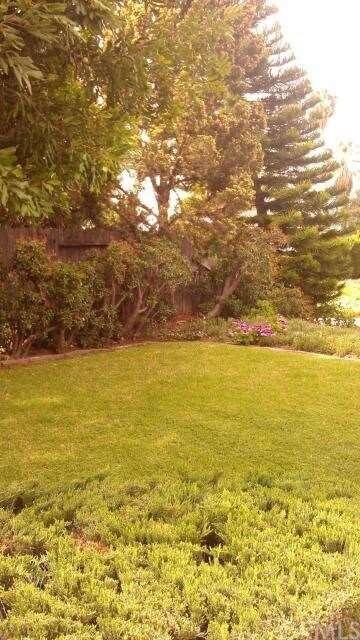 Front Lawn with Sprinklers