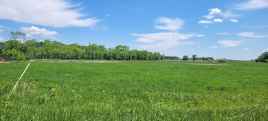 XXX 455th Ave, Arlington, MN 55307 - photo 2