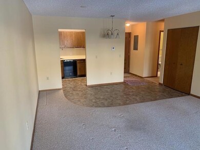 1415 Lake St unit 134, Alexandria, MN 56308 - photo 5