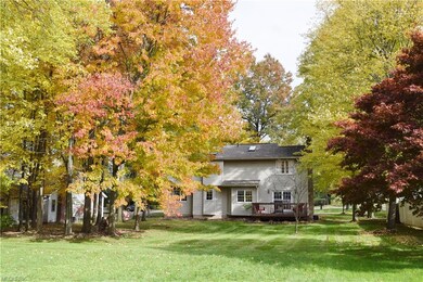 Nice big yard.